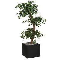 Bac bas métal O'CARRE Noir sur patins Bonzaî - Image principale