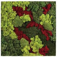 Cadre végétal n 12 Blanc - Image 3