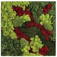 Cadre végétal n 12 Noir - Image 3