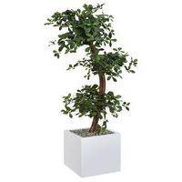 Bac bas métal O'CARRE sur patins Bonzaî haut - Image principale