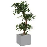 Bac bas métal O'CARRE sur roulettes Bonzaî haut - Image principale