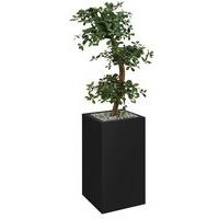 Bac haut métal O'CARRE sur roulettes Bonzaî haut - Image principale