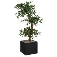 Bac bas métal O'CARRE sur patins Bonzaî haut - Image 3