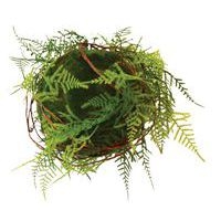 Plantes suspendues KYOTO - Image principale