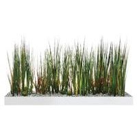 Plateau végétal COLLINE - Image 9