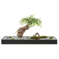 Plateau végétal COLLINE - Image 7