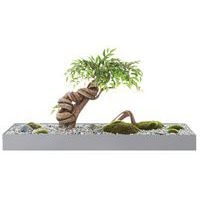 Plateau végétal COLLINE - Image 4