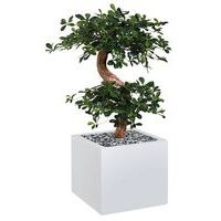 Bac haut métal O'CARRE sur roulettes Bonzaî - Image principale