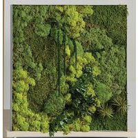 Cadre végétal n 20 - Image 2