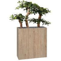 Jardinière bois BOSCO mobile Bonzaî - Image 2