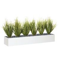 Jardinière basse JB12 Graminées - Image principale