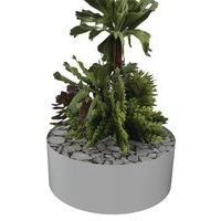 Composition SUCCULENTE 2 Ø 255 mm Gris - Image principale