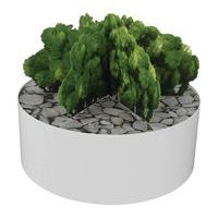 Composition AROMATIQUE 3 Ø 255 mm Blanc - Image principale