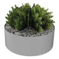 Composition SUCCULENTE 3 - Image principale