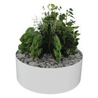 Composition AROMATIQUE 2 - Image principale