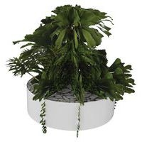 Composition SUCCULENTE 1 - Image 3