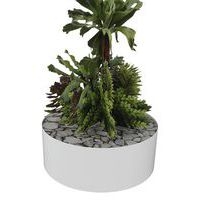 Composition SUCCULENTE 2 - Image 2