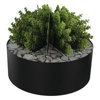 Composition SUCCULENTE 3 - Image 2