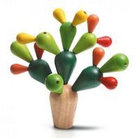 Mikado Cactus - Image principale