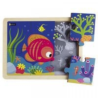 Le poisson tropical - Image principale