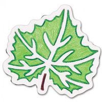 Ensemble de 12 pochoirs variétés de feuilles d'arbres 200 x 200 mm - Image 6