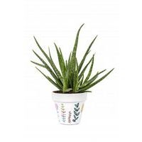 Boîte 8 marqueurs Posca assortis, pointe conique fine 1.3 mm - Image 2