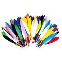 Sachet de 1000 plumes assorties - Image 3
