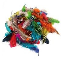 Sachet de 1000 plumes assorties - Image 10