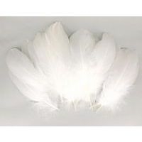 Sachet de 1000 plumes assorties - Image 8