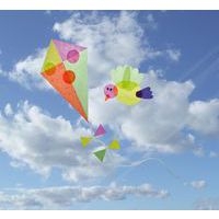 Pot de 1 litre window colle repositionnable à base d''eau biodégradable - Image 2