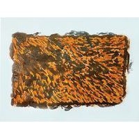 Lot de 10 plaques animaux sauvages 21.5 x 15 cm - Image 7