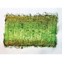 Lot de 10 plaques animaux sauvages 21.5 x 15 cm - Image 3