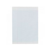 CONQUERANT Copies Doubles Non Perforées A4 Grands Carreaux Seyès 200 Pages Sous Film Blanches - Image 3