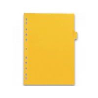 Intercalaires Neutres Color Life A4 12 Positions Carte Lustrée Epaisseur 220g Coloris Assortis - Image 3