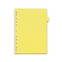 Intercalaires Neutres Color Life A4 12 Positions Carte Lustrée Epaisseur 220g Coloris Assortis - Image 2