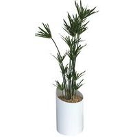 Bac VAGUE composition PAPYRUS - Image principale