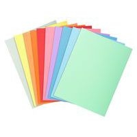 Paquet de 100 chemises dossier 210 g, peau, 24x32 cm couleurs assorties - Image principale