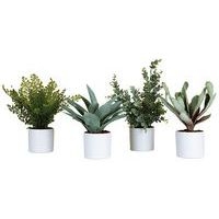 Lot de 4 pots cylindrique blanc 4 plantes - Image principale