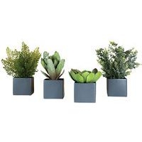 Lot de 4 pots carrés 11x11 gris 4 plantes - Image principale