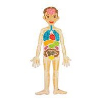 Kit playmais puzzle anatomique - Image 3