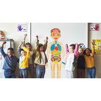 Kit playmais puzzle anatomique - Image 4