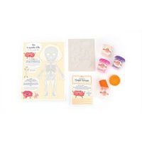 Atelier moulage : je découvre le corps - Image 2