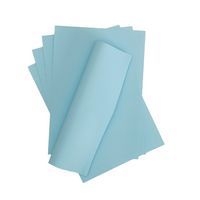 Main 25 feuilles affiche 85g 50x70 bleu ciel - Image principale