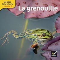 Les docs ribambelle cycle 2 ed. 2014 - la grenouille - Image principale