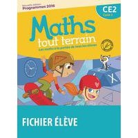 Maths tout terrain CE2 Fichier édit.2017 - Image principale