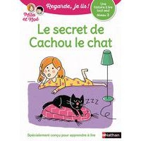 Le secret de Cachou le chat niveau 3 - Image principale