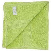 Lot 10 serviettes éponge 400 g/m² 50 x 90 cm Anis - Image principale