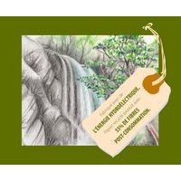 Paquet 250 feuilles dessin recyclé 160g 50 x 65 cm - Image 2