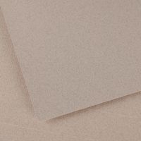 Paquet 25 feuilles Ingres 50 x 65 cm 100g - Canson - Image principale