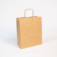 Paquet de 25 sacs kraft vergé 100g, 22x10x27cm brun - Image principale